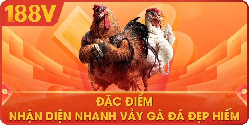 Đặc điểm nhận diện nhanh vảy gà đá đẹp hiếm 