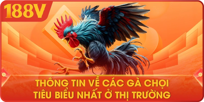 Thông tin về các gà chọi tiêu biểu nhất ở thị trường 